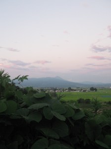 kudzu mountain sunset